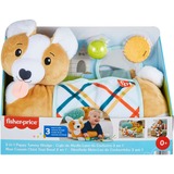 Fisher-Price HJW10 giocattolo educativo, Peluche animali 0 anno/i, Plastica, Multicolore