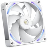 NZXT Ventilatore Performance F140X, Ventola bianco
