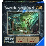 Ravensburger 15029 puzzle Puzzle di contorno 759 pz Arte 759 pz, Arte, 12 anno/i