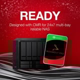 Seagate IronWolf Pro NAS 2 TB CMR, Hard-disk 