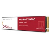 WD WD Red SN700 M.2 250 GB PCI Express 3.0 NVMe 250 GB, M.2, 3100 MB/s, 8 Gbit/s