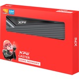 ADATA AX5U6000C3032G-DCCAGY, Memoria grigio