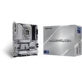 Biostar Z890A-Silver, Scheda madre 