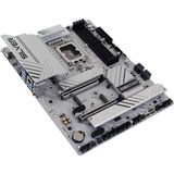 Biostar Z890A-Silver, Scheda madre 