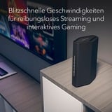 Netgear RS100-100EUS, Router Nero