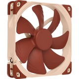 Noctua NF-A14 Case per computer Ventilatore 14 cm Beige, Marrone Ventilatore, 14 cm, 300 Giri/min, 1500 Giri/min, 24,6 dB, 140,2 m³/h