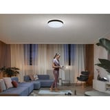 Philips Hue Lampada da soffitto White Ambiance Enrave XL, Luce LED Nero