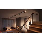 Philips Hue Perifo kit con 4 faretti spot, Lampada Nero, Philips Hue White and Color ambiance Perifo kit con 4 faretti spot, Faretto luminoso intelligente, Bluetooth, Nero, LED integrato, Metallo, Sintetico, Lampadina/e non sostituibile/i