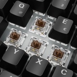 Sharkoon SKILLER SGK50 S3, Tastiera da gioco Nero