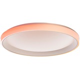 Aqara CL-L02D, Luce LED 