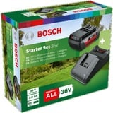 Bosch F016800609 batteria e caricabatteria per utensili elettrici Set batteria e caricabatterie Nero, Set batteria e caricabatterie, Ioni di Litio, 2 Ah, 36 V, Bosch, Nero