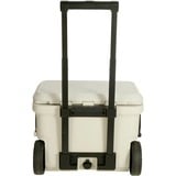 Coleman PRO 55QT, Scatola cool beige