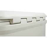 Coleman PRO 55QT, Scatola cool beige