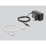 DeLOCK 63331 contenitore di unità di archiviazione Box esterno SSD Bianco M.2, Docking station bianco, Box esterno SSD, M.2, M.2, PCI Express, 10 Gbit/s, Collegamento del dispositivo USB, Bianco