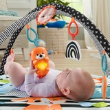 Fisher-Price HBP41 palestra per bambino e tappeto di gioco Multicolore Palestrina a tappeto per bambino Palestrina a tappeto per bambino, Arco giocattolo, Sonoro, Multicolore