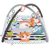 Fisher-Price HBP41 palestra per bambino e tappeto di gioco Tessuto, Plastica Multicolore Palestrina a tappeto per bambino, Gioco di scheda/coperta Palestrina a tappeto per bambino, Arco giocattolo, Sonoro, Tessuto, Plastica, Multicolore