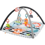 Fisher-Price HBP41 palestra per bambino e tappeto di gioco Tessuto, Plastica Multicolore Palestrina a tappeto per bambino, Gioco di scheda/coperta Palestrina a tappeto per bambino, Arco giocattolo, Sonoro, Tessuto, Plastica, Multicolore
