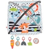 Fisher-Price HBP41 palestra per bambino e tappeto di gioco Tessuto, Plastica Multicolore Palestrina a tappeto per bambino, Gioco di scheda/coperta Palestrina a tappeto per bambino, Arco giocattolo, Sonoro, Tessuto, Plastica, Multicolore