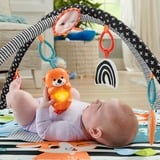 Fisher-Price HBP41 palestra per bambino e tappeto di gioco Tessuto, Plastica Multicolore Palestrina a tappeto per bambino, Gioco di scheda/coperta Palestrina a tappeto per bambino, Arco giocattolo, Sonoro, Tessuto, Plastica, Multicolore