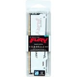 Kingston FURY KF560C30BWA-16 bianco