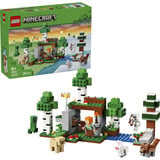 LEGO 21593, Giochi di costruzione 