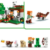 LEGO 21593, Giochi di costruzione 