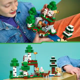LEGO 21593, Giochi di costruzione 