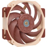 Noctua NF-A12x25r PWM Premium Fan 120x120x25, Ventola 