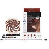 Noctua NF-A12x25r PWM Premium Fan 120x120x25, Ventola 