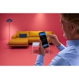 WiZ IMAGEO 3x faretto orientabile Piastra rotonda, Luce LED bianco, Bluetooth, Bianco, LED, Metallo, GU10, 2200 K