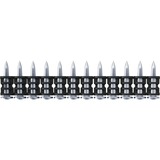fischer DFNH 17