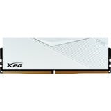 ADATA Lancer memoria 16 GB 1 x 16 GB DDR5 Data Integrity Check (verifica integrità dati) bianco, 16 GB, 1 x 16 GB, DDR5, 6400 MHz