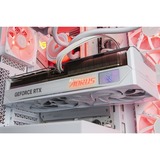 ALTERNATE ALT-ICUECS-AMD-002 bianco/trasparente