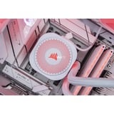 ALTERNATE ALT-ICUECS-AMD-002 bianco/trasparente
