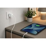 Ansmann Home Charger HC130PD / 3 A / 30 W / 1 porta, Caricabatterie bianco