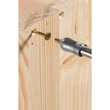 EINHELL Set di punte e bit, 39 pezzi, Trapano & Set di bit 