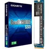 GIGABYTE G325E2TB, Disco a stato solido 