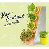 KOSMOS Microgreen Giocattoli e kit di scienza per bambini, Casella di esperimento Kit di scavo, Biologia, 6 anno/i, Multicolore