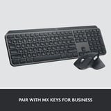 Logitech 910-006582, Mouse grafite