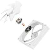 NZXT F120P, Ventola bianco