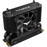 Team Group T-Force GE Pro 4 TB, Disco a stato solido Nero/Oro