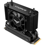 Team Group T-Force GE Pro 4 TB, Disco a stato solido Nero/Oro