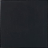 Thermal Grizzly Minus Pad Advance - 100x100x1,5 mm, Pastiglie termiche 