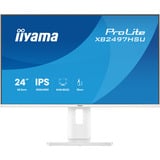 iiyama XB2497HSU-W1, Monitor LED bianco (matto)