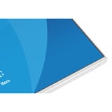 iiyama XB2497HSU-W1, Monitor LED bianco (matto)