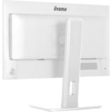 iiyama XB2497HSU-W1, Monitor LED bianco (matto)