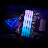 ADATA DIMM 16 GB DDR5-6400, Memoria bianco