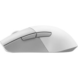 ASUS ROG Keris Wireless AimPoint mouse Gaming Mano destra RF Wireless + Bluetooth + USB Type-C Ottico 36000 DPI, Mouse da gioco bianco, Mano destra, Ottico, RF Wireless + Bluetooth + USB Type-C, 36000 DPI, Bianco