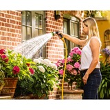 Bosch GardenPump 18V-2000, 06008C4202, Pompe immersione e pressione verde/Nero