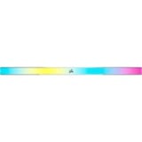 Corsair DIMM 32 GB DDR5-5600 (2x 16 GB) Dual-Kit, Memoria grigio